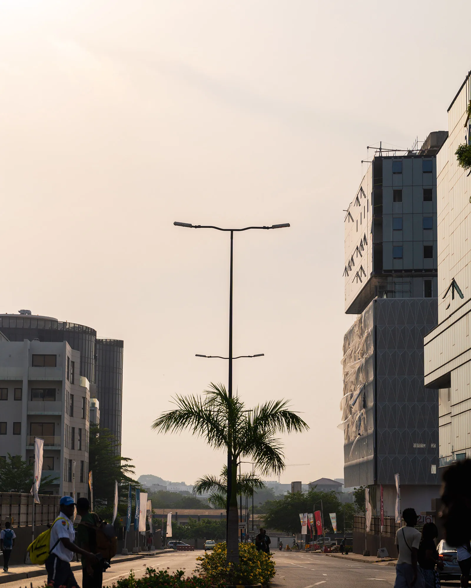 City road with palm and buildings