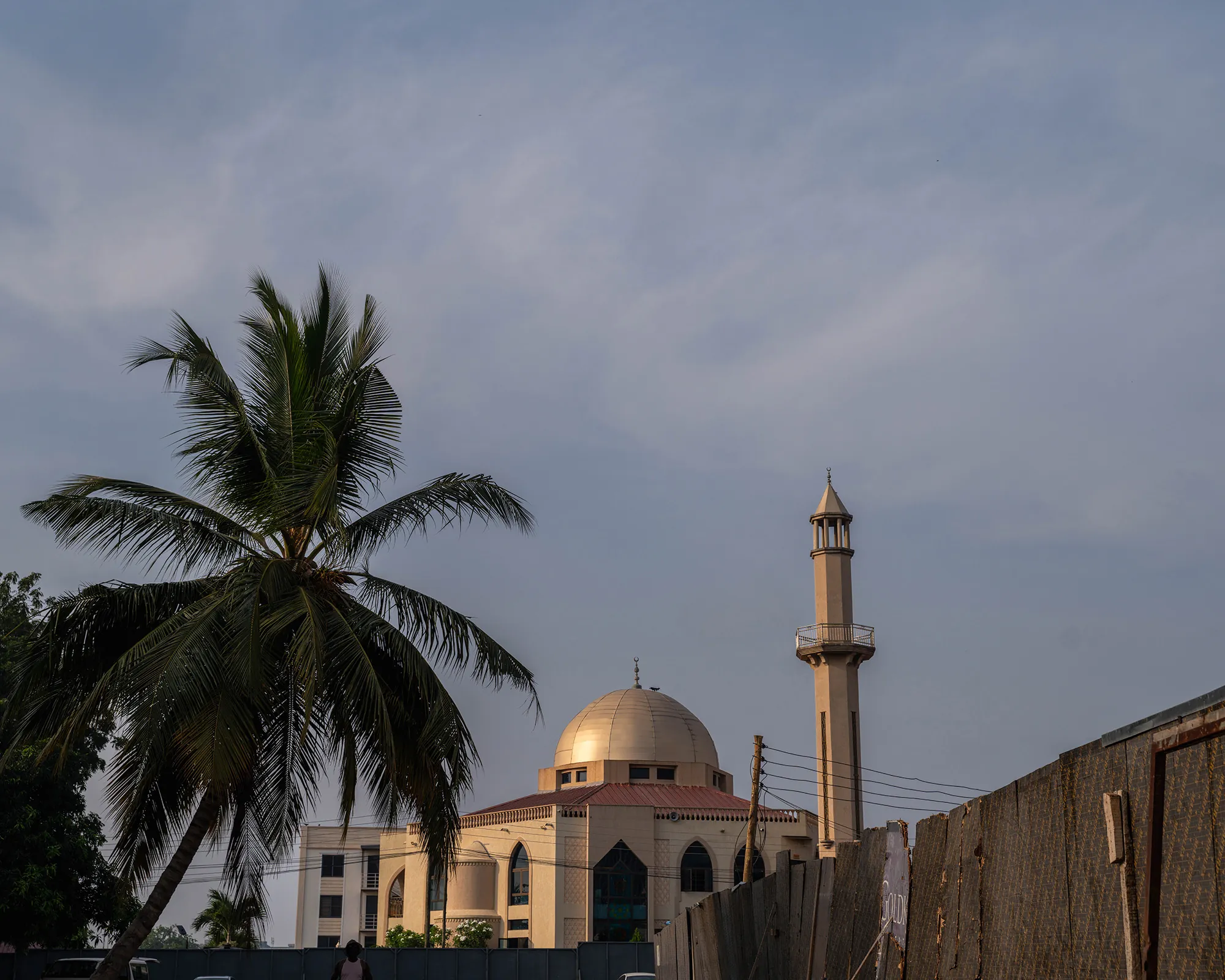 Mosque dome behind palm trees